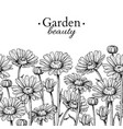 daisy flower border drawing hand drawn vector image vector image