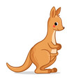 cute kangaroo stands on a white background vector image