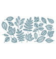 decorative tree leaves nature forest concept vector image vector image