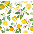 seamless lemon pattern with tropic fruits leaves vector image vector image