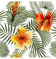 seamless tropical pattern modern bright vector image
