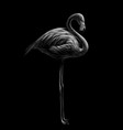 flamingo hand-drawn black and white sketch vector image vector image