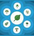 flat icon ecology set of baobab timber linden vector image vector image
