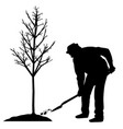 man planting a tree vector image vector image