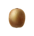 kiwi realistic vector image