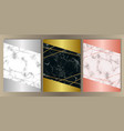 luxury marble set vector image
