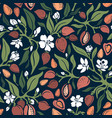almond seamless pattern floral color print vector image