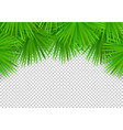 summer palm leaves on transparent background vector image
