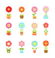 flowers in different pots floral set vector image