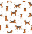 border terrier seamless pattern different coat vector image
