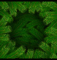 christmas tree branches frame vector image vector image