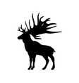 megaloceros giant reindeer silhouette extinct vector image