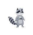 cartoon raccoon cheerful character vector image