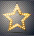 star with lights isolated vector image vector image