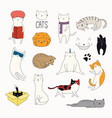 cute cat doodles set vector image vector image