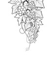 decorations red grapes natural background vector image