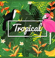 tropical flowers background summer design vector image
