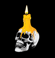 candle on a skull vector image