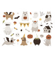 set of halloween dogs in mascarade costumes vector image vector image