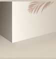 wall with shadow palm leaf studio in monochrome vector image vector image
