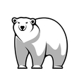 cartoon polar bear vector image