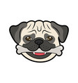 pug vector image vector image