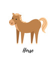 cute colt isolated domestic horse kid vector image vector image