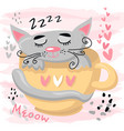 cute sleeping cat baby animal nursery vector image vector image