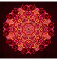 etnic ornament vector image vector image