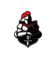 knight with sword and shield crusader icon vector image