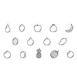 farm garden raw fruit line icons or pictograms vector image vector image