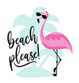 beach please hand drawn flamingo vector image vector image