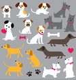dogs clipart vector image