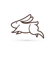 rabbit jumping graphic vector image