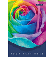 raibow rose card 1 vector image vector image