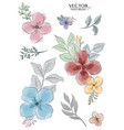 set colorful watercolor florals branch vector image vector image