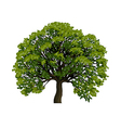 big green tree symbol vector image vector image