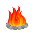 burning bonfire with stones vector image