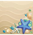 shells and starfish vector image vector image