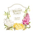 vintage frame vector image