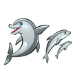dolphins vector image vector image
