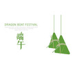 dragon boat festival vector image