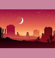 night in mexican desert vector image