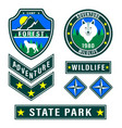patch forest camp vector image