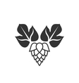 beer hop icon vector image