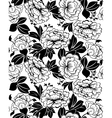 peonies pattern vector image