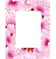 square frame with pink flower petals sakura vector image vector image