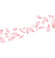 flying sakura petal pink cherry floral background vector image