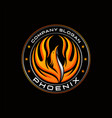 colorful phoenix logo designs vector image vector image