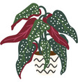 exotic houseplant flower plant flat icon vector image vector image